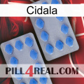 Cidala 20